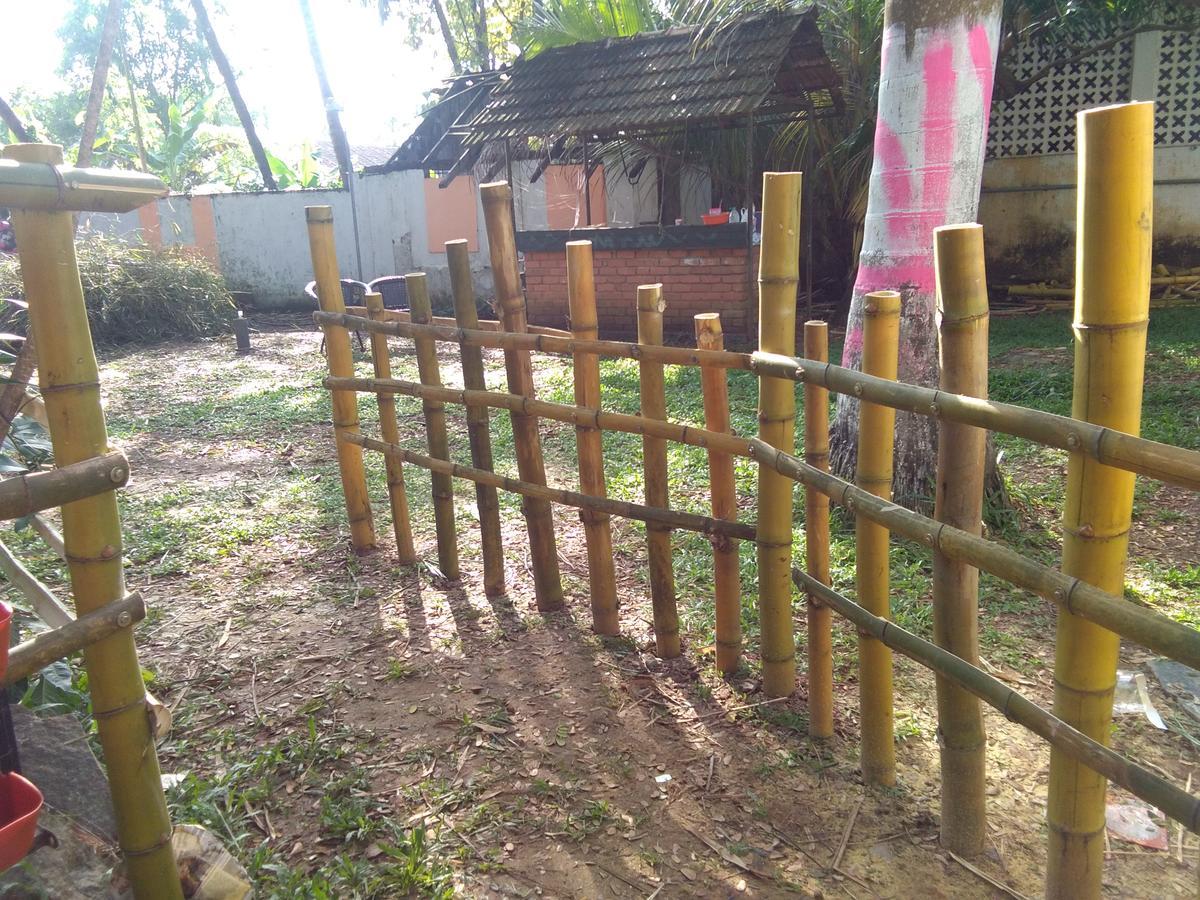 เอลฟินสโตน เรสิเดนซี Bed & Breakfast Kochi ภายนอก รูปภาพ